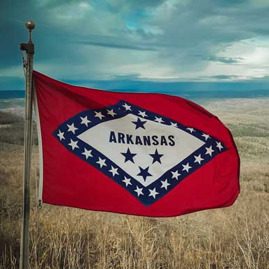 Arkansas State Flag