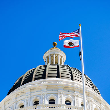 California State Flag