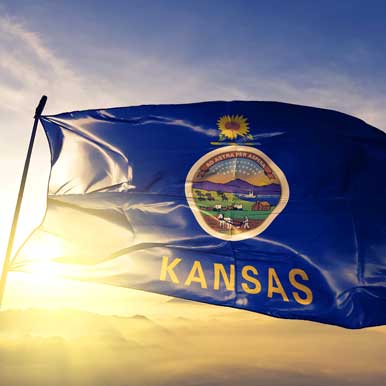 Kansas State Flag