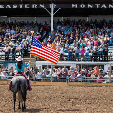 Montana State Flag