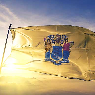 New Jersey State Flag