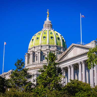 Pennsylvania State Flag