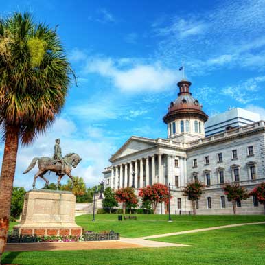 South Carolina State Flag