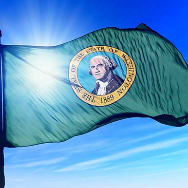 Washington State Flag